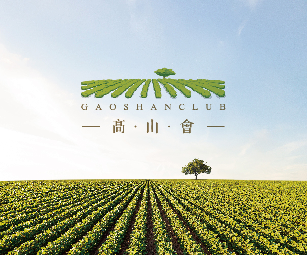 VI設計的基本原則